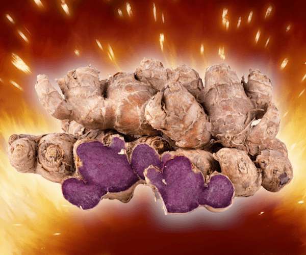 ぶらくじんじゃ